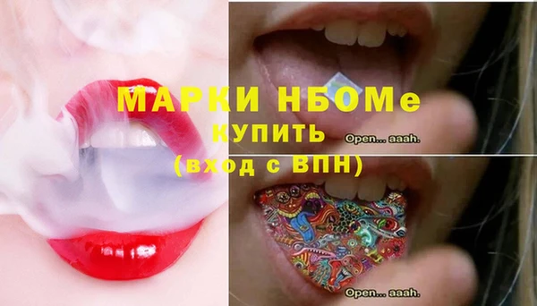 2c-b Инсар