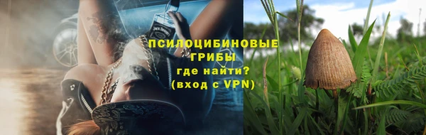 прущие крисы Зерноград