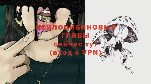 прущие крисы Зерноград