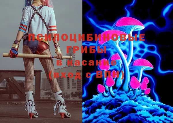 гашик Зеленодольск